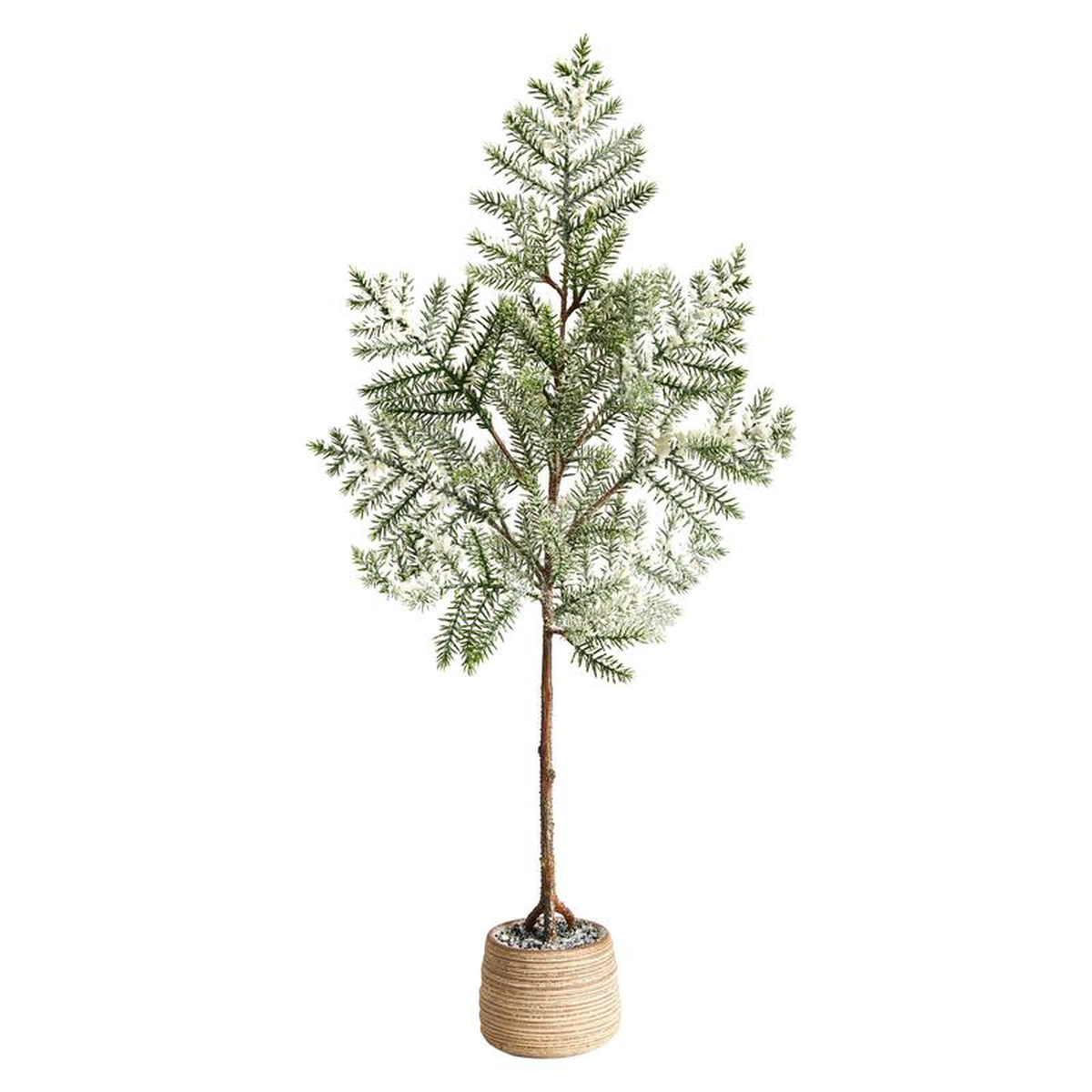 product-details