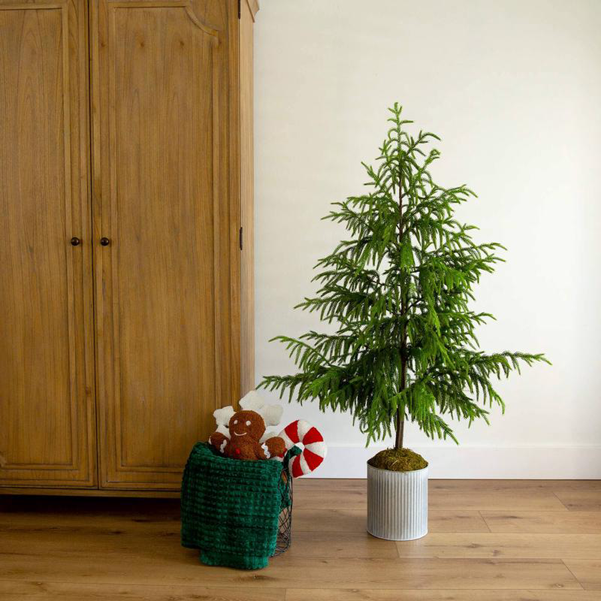 product-details