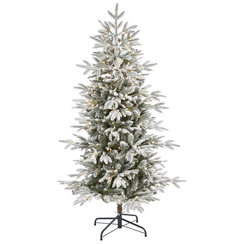 product-details