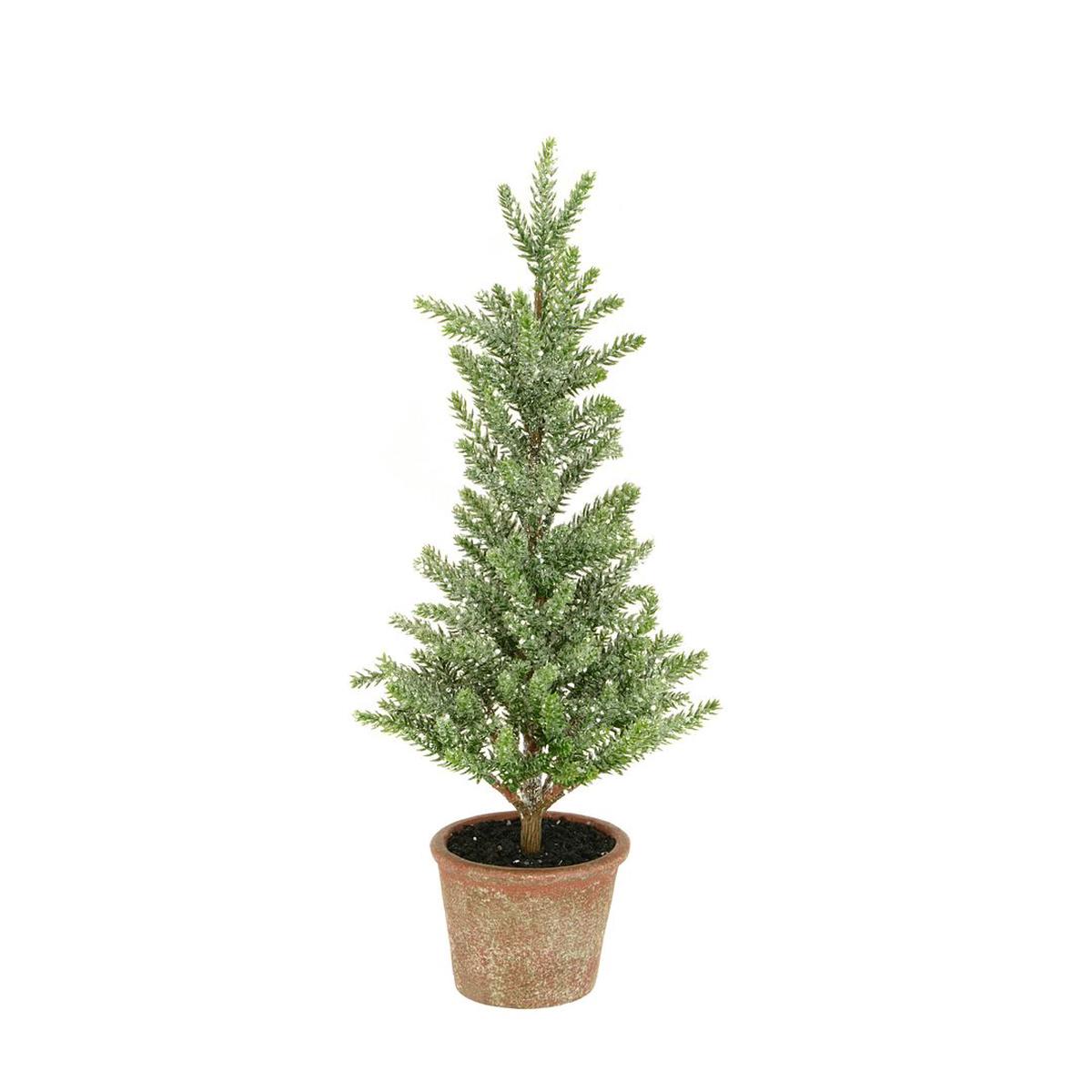 product-details
