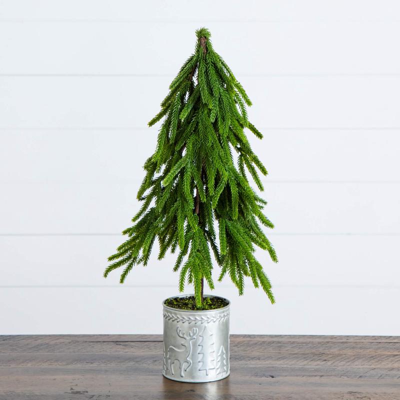 product-details