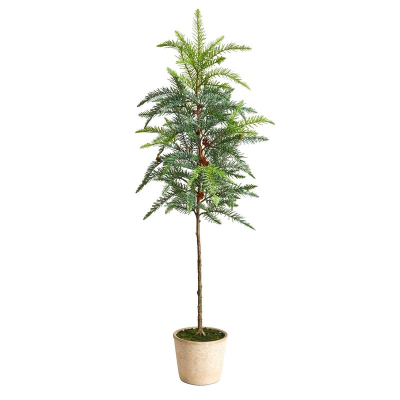 product-details