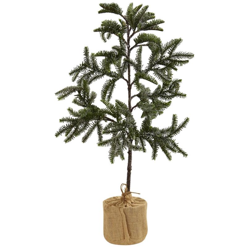 product-details
