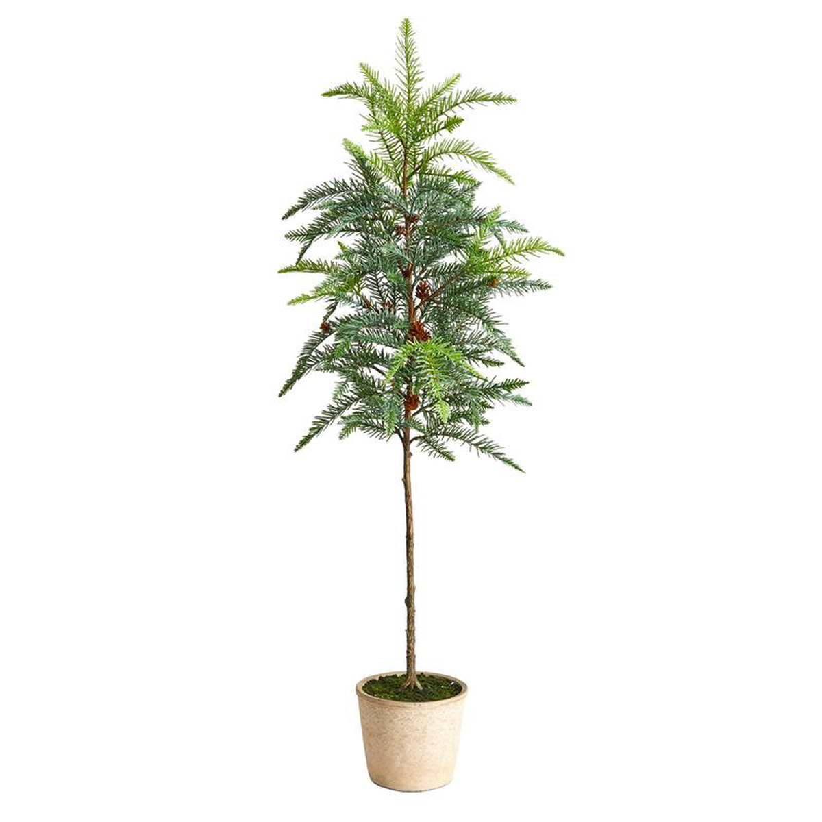 product-details
