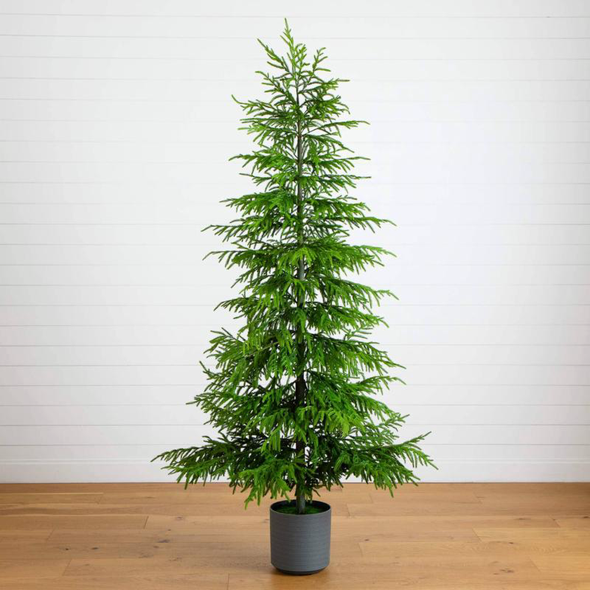 8 Artificial Real Touch Norfolk Island Pine Christmas Tree with Natural Look