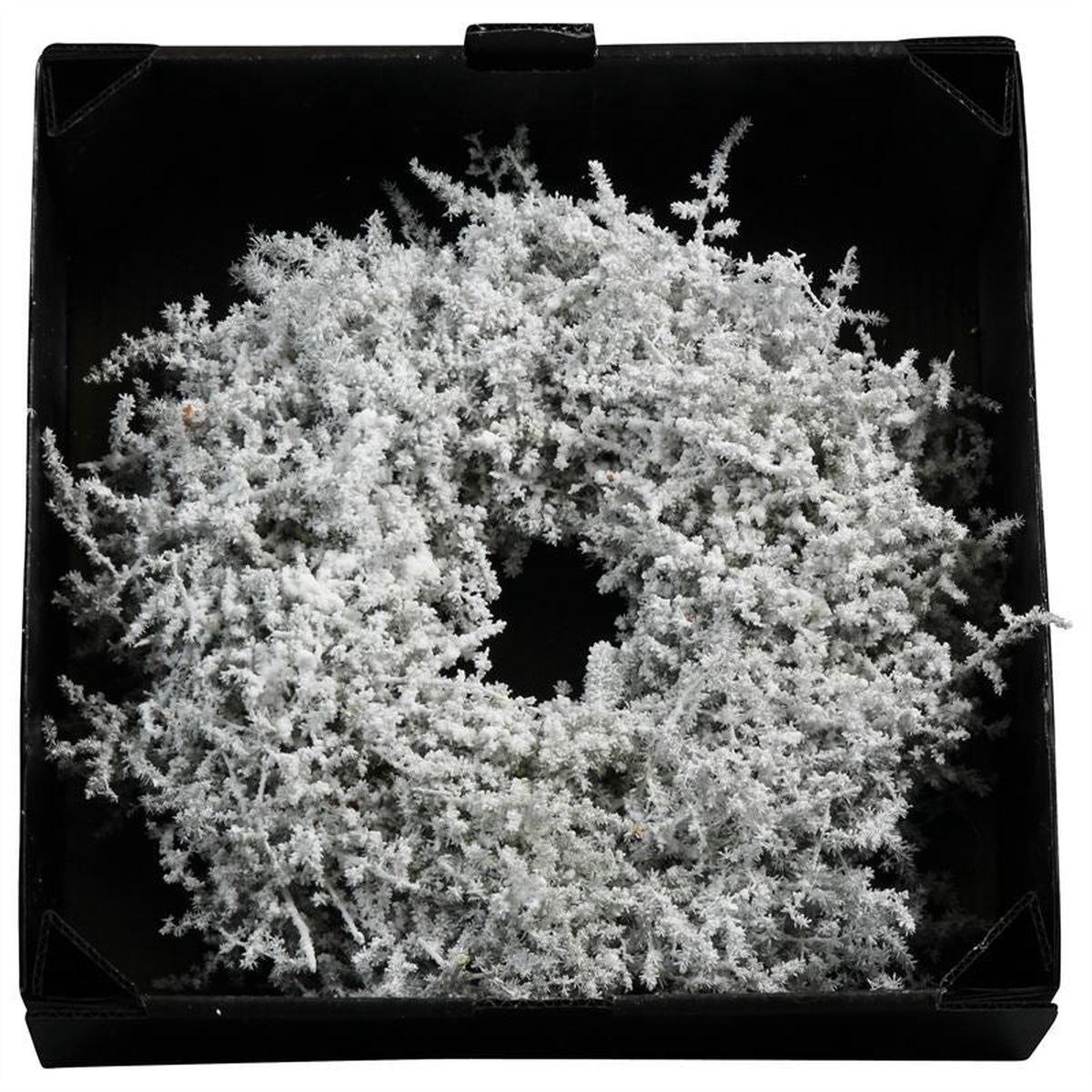 Wreath Asparagus D35cm White Snow