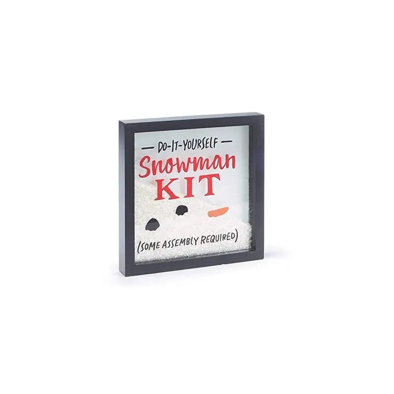 Do It Yourself Snowman Kit