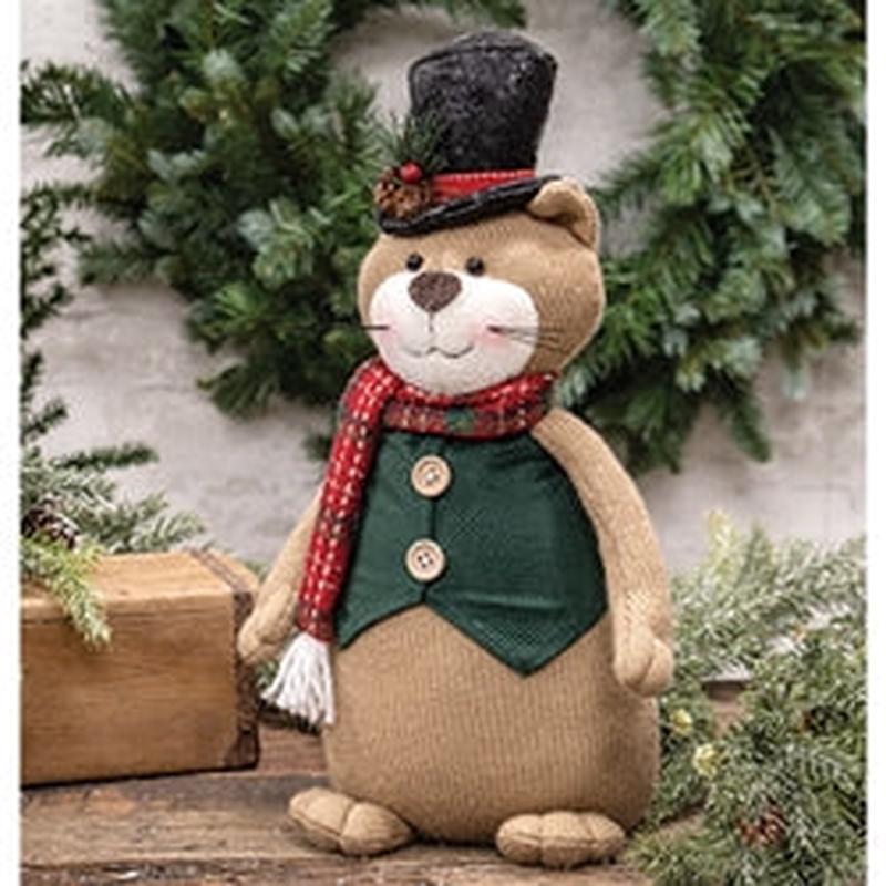 *Cat Caroller