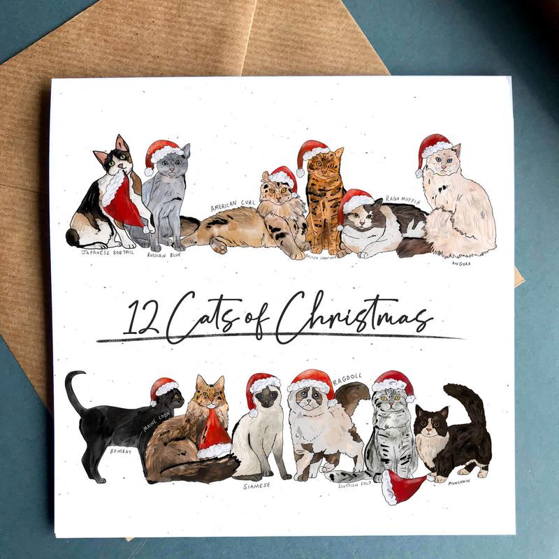 12 Cats of Christmas Card