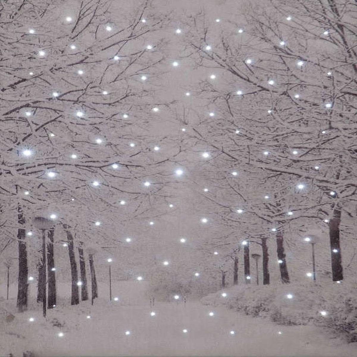 'Frosted Forest' Illuminated Canvas 30cm x 40cm