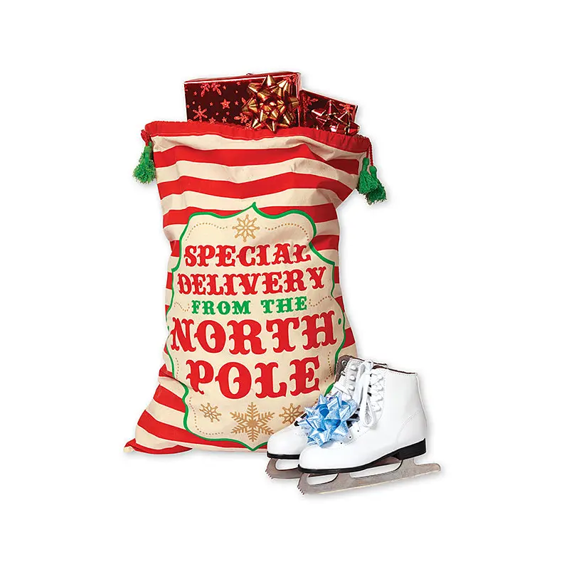 Special Delivery Santa Gift Sack