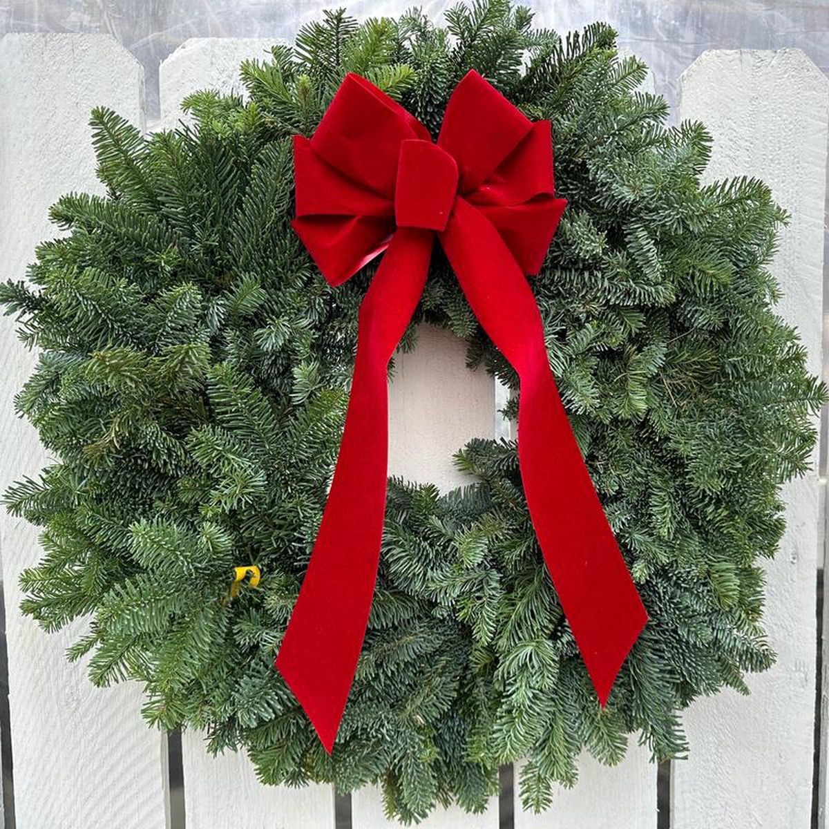 128221 Noble Fir Wreath (Xmas)
