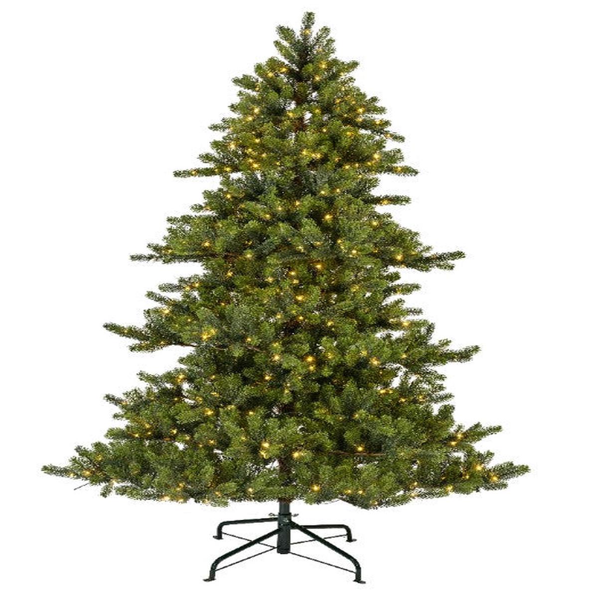 Winnipeg Pine Christmas Tree with Micro LEDs, 240cm high
