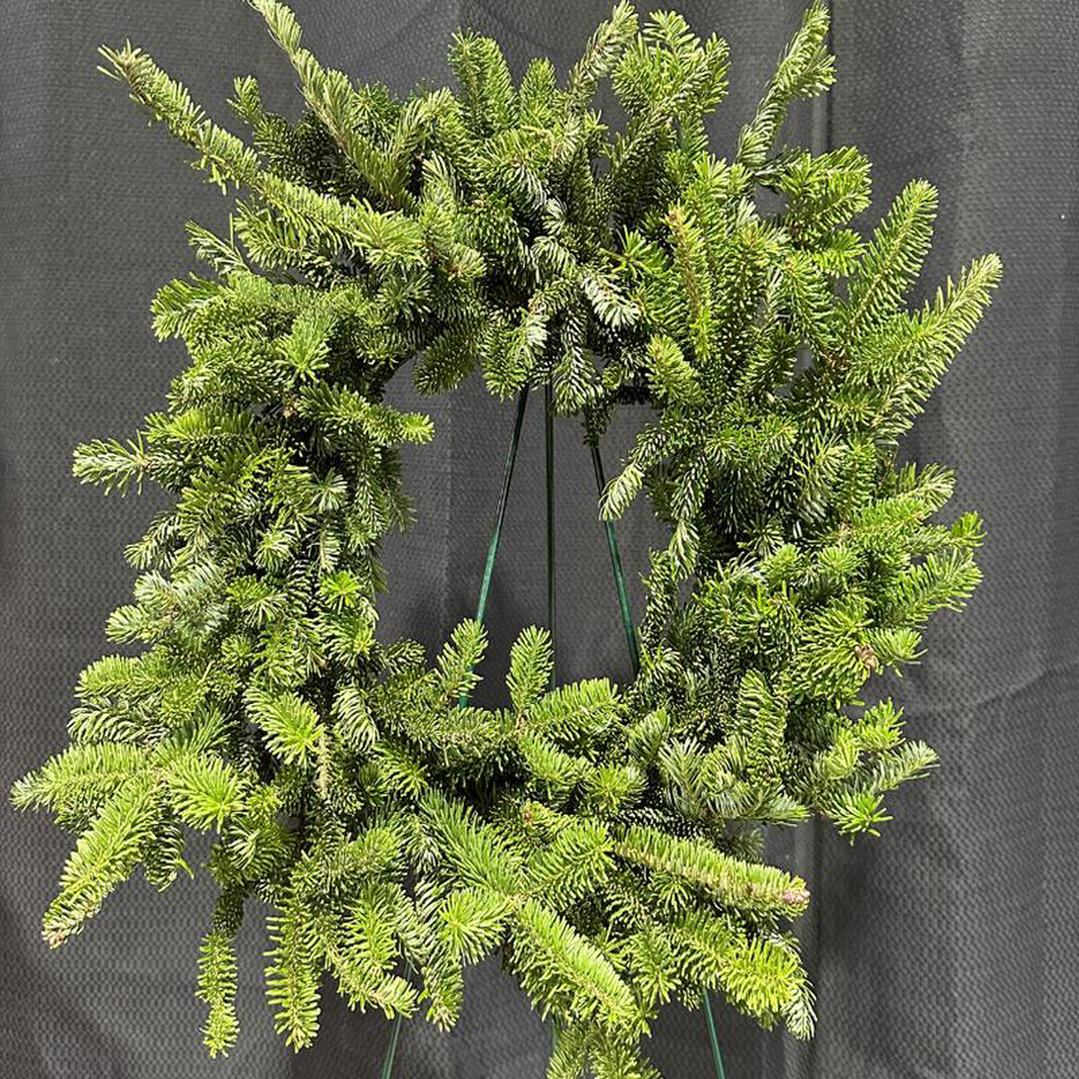 12 Decorated Fraser Fir Wreath (Xmas)