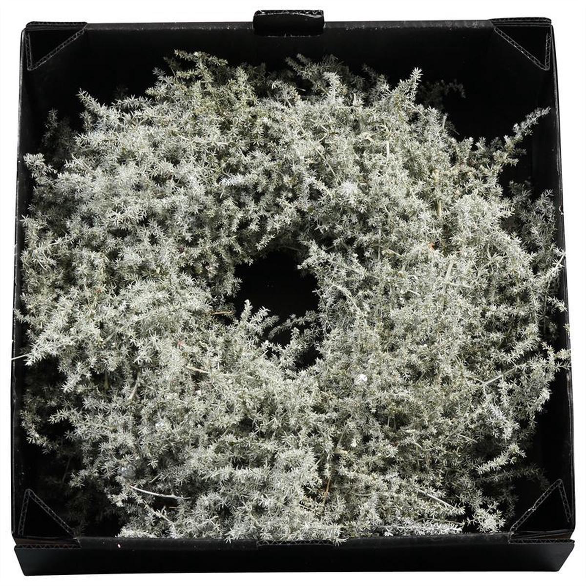 Wreath Asparagus D45 Antique Olive Wax