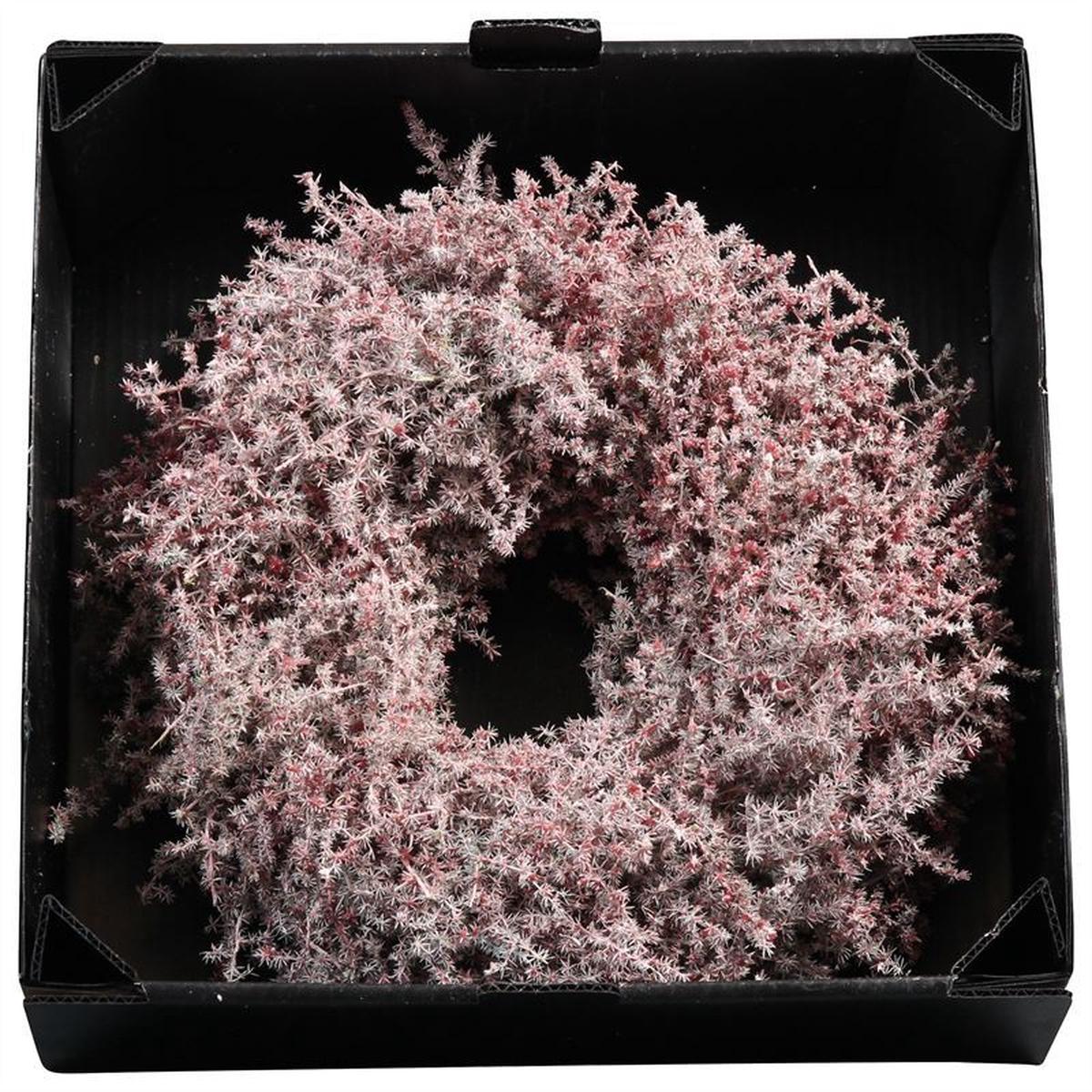 Wreath Asparagus D45 Bordeaux Wax