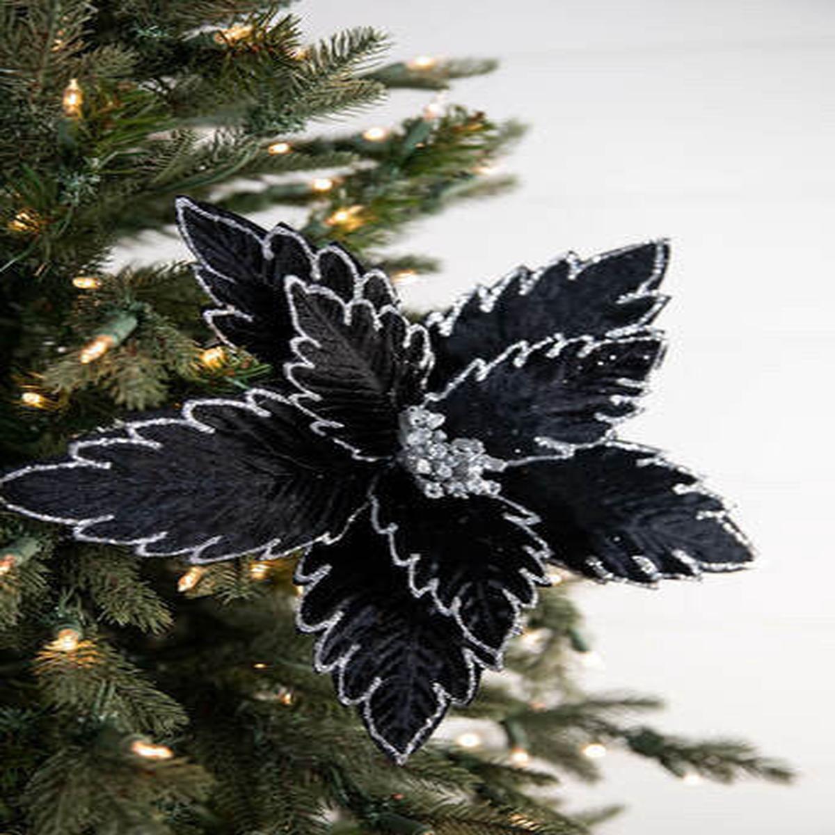 22 Inch x 13 Inch Black Poinsettia Stem