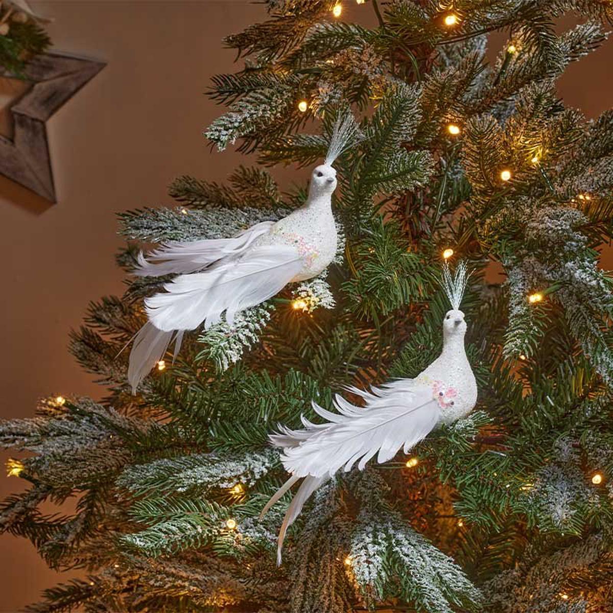 Dove 2 Pack
