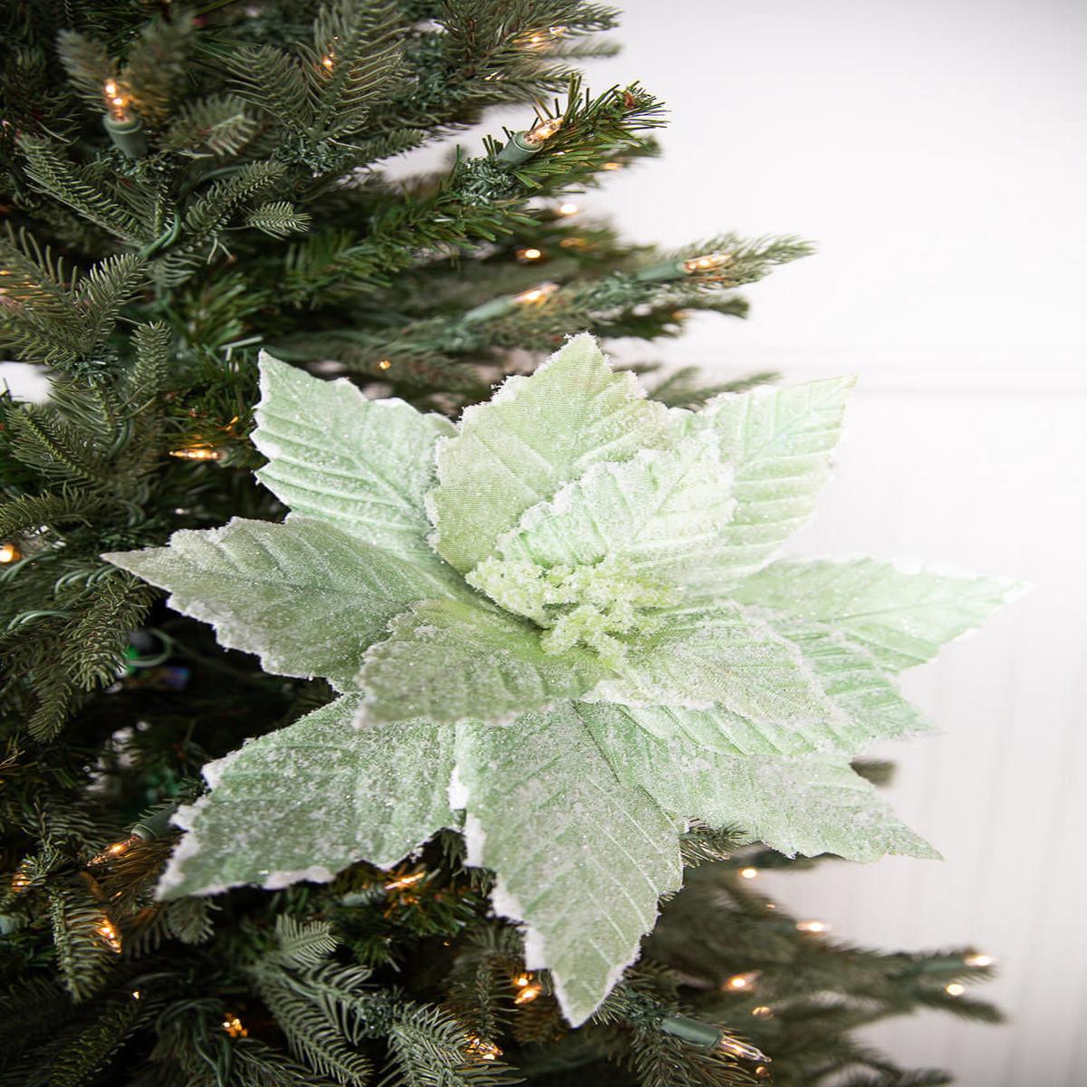 20 Inch x 14 Inch Mint Sugared Poinsettia Stem