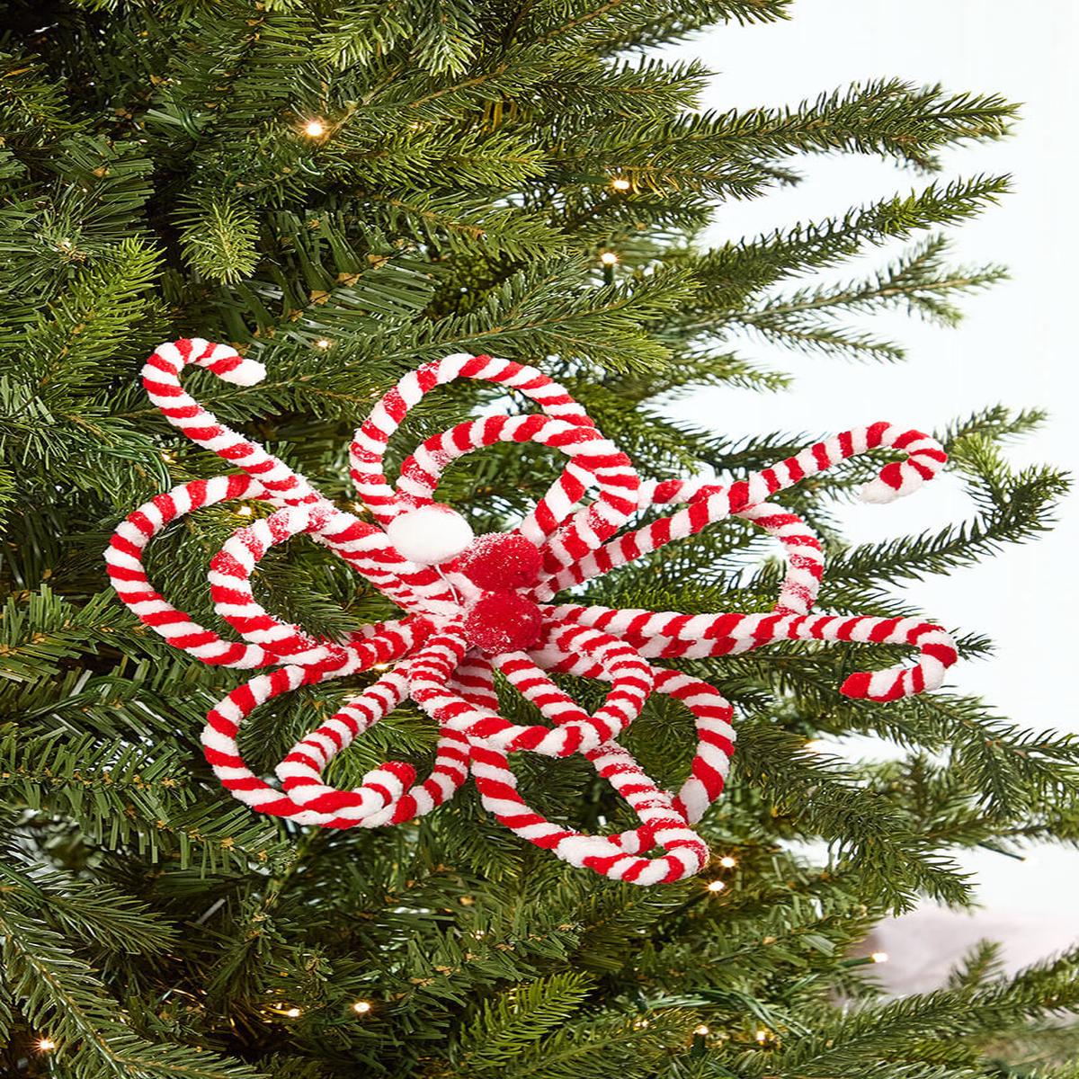 20 Inch x 11 Inch Peppermint Loop Poinsettia