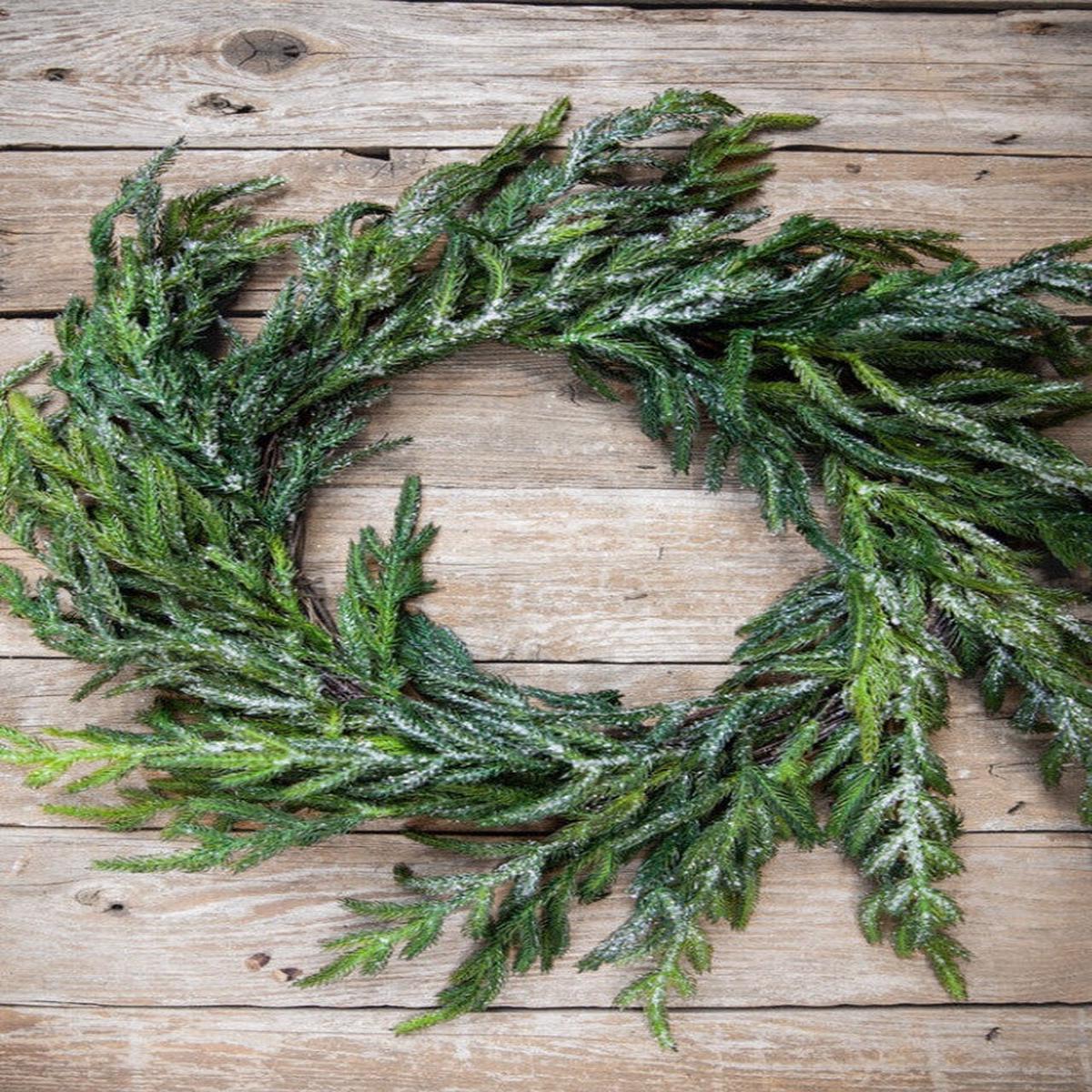 24 Inch Iced Garden Norfolk Pine Christmas Wreath