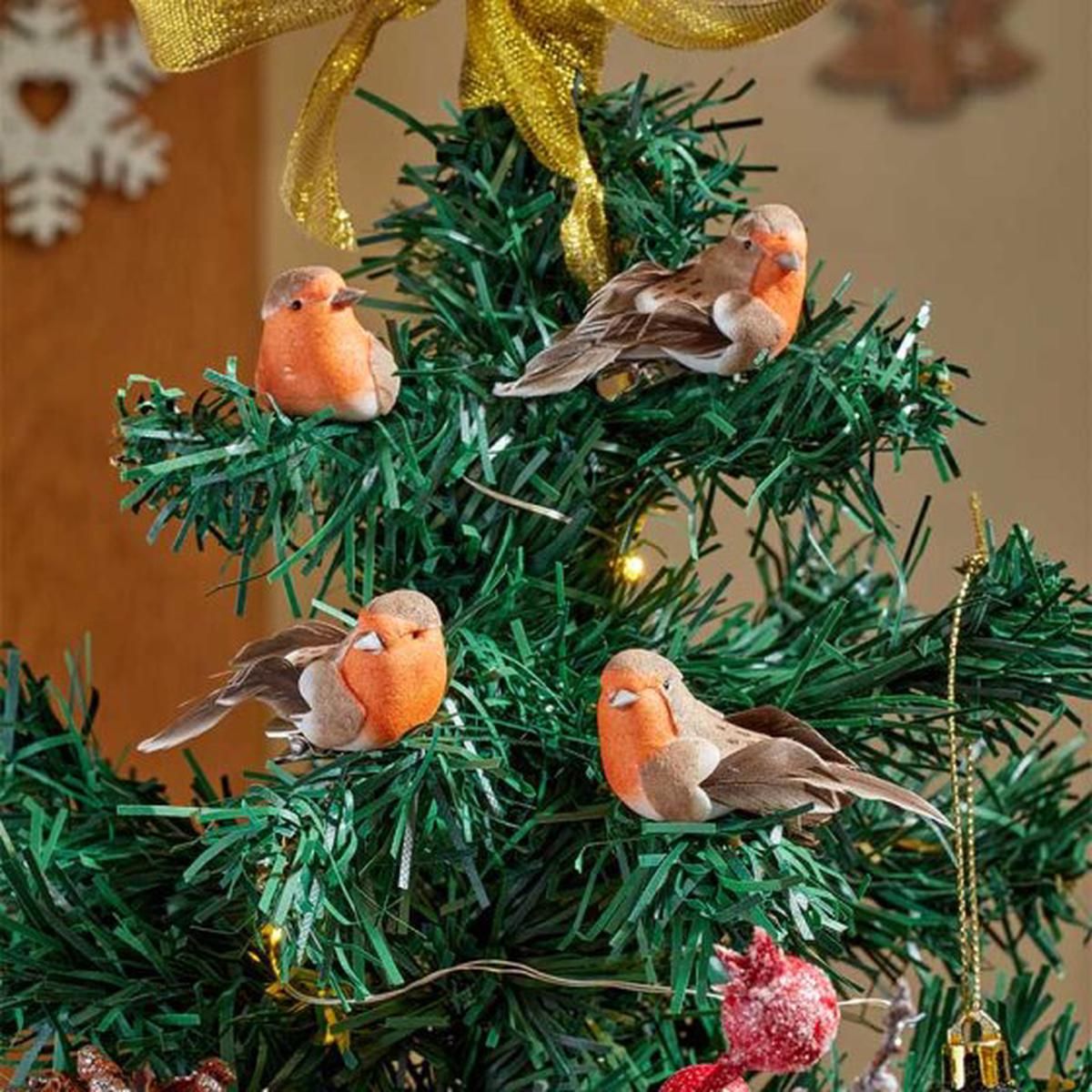 Robin - 4 Pack