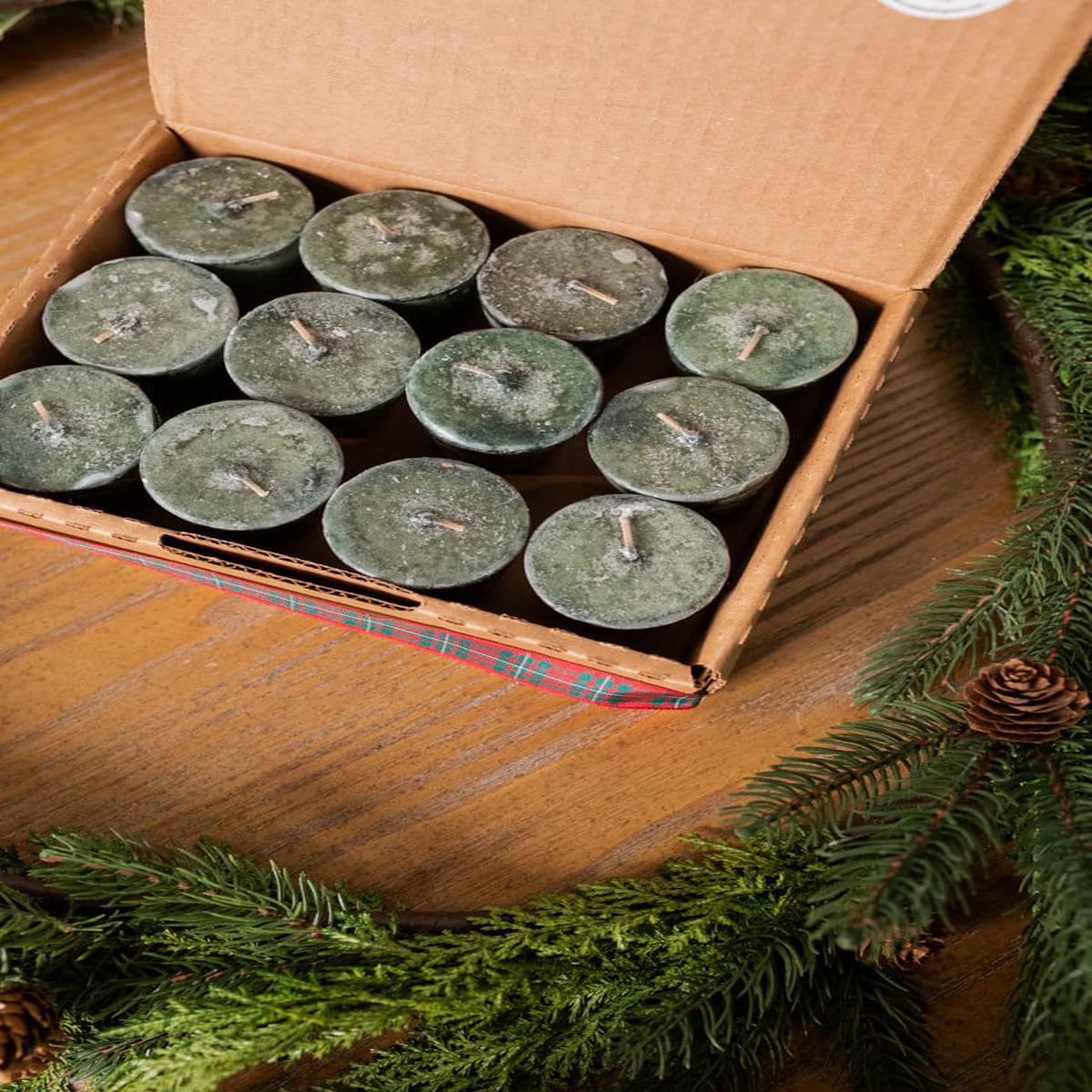 Piney Woods Tea Light Candles Set of 12 Holiday Decor