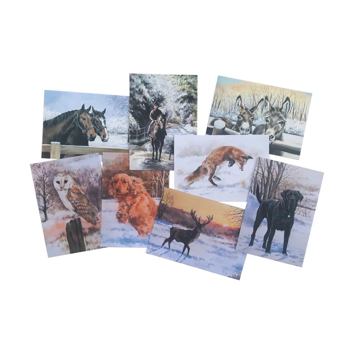 Caroline Cook Winter Collection - Pack of 16