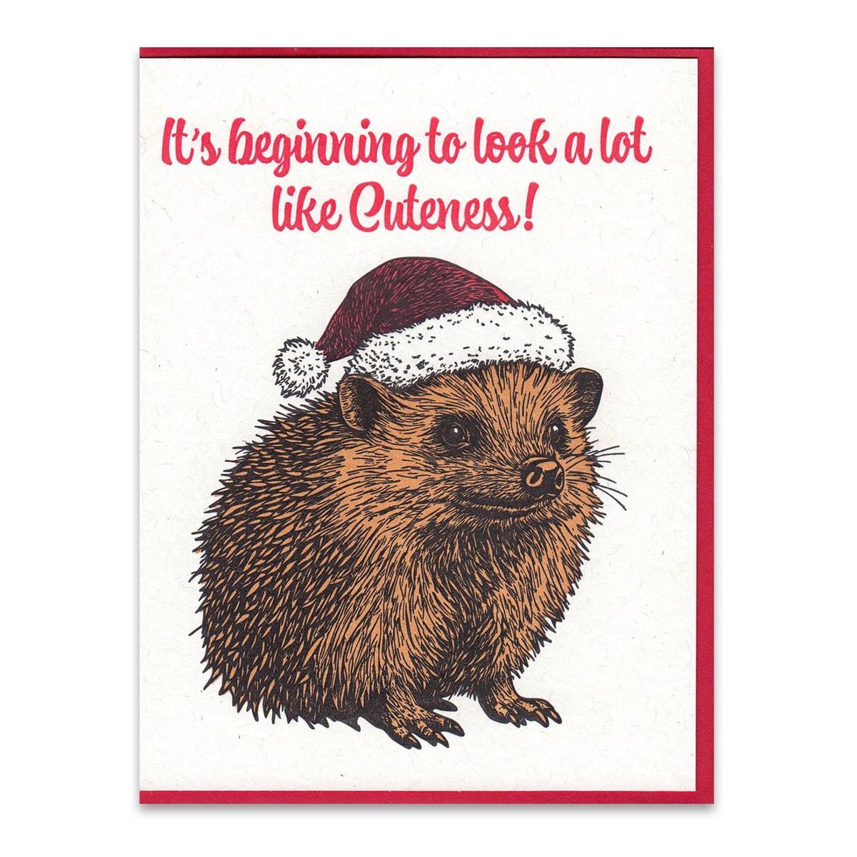 Hedgehog Cuteness Christmas Card