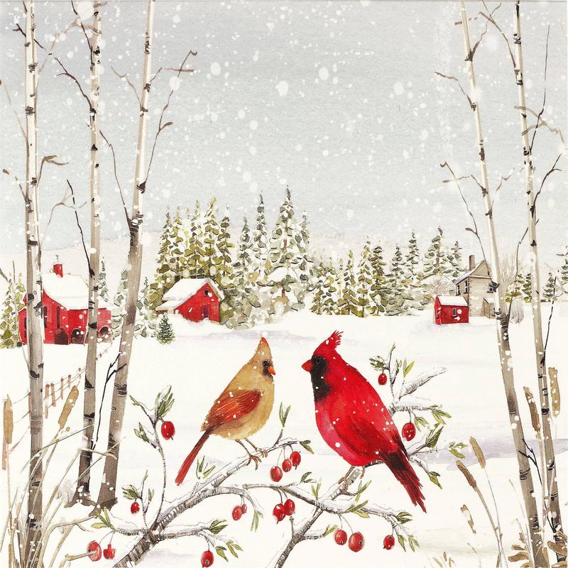 Peter Pauper Press - Cardinals in Winter Deluxe Boxed Holiday Cards