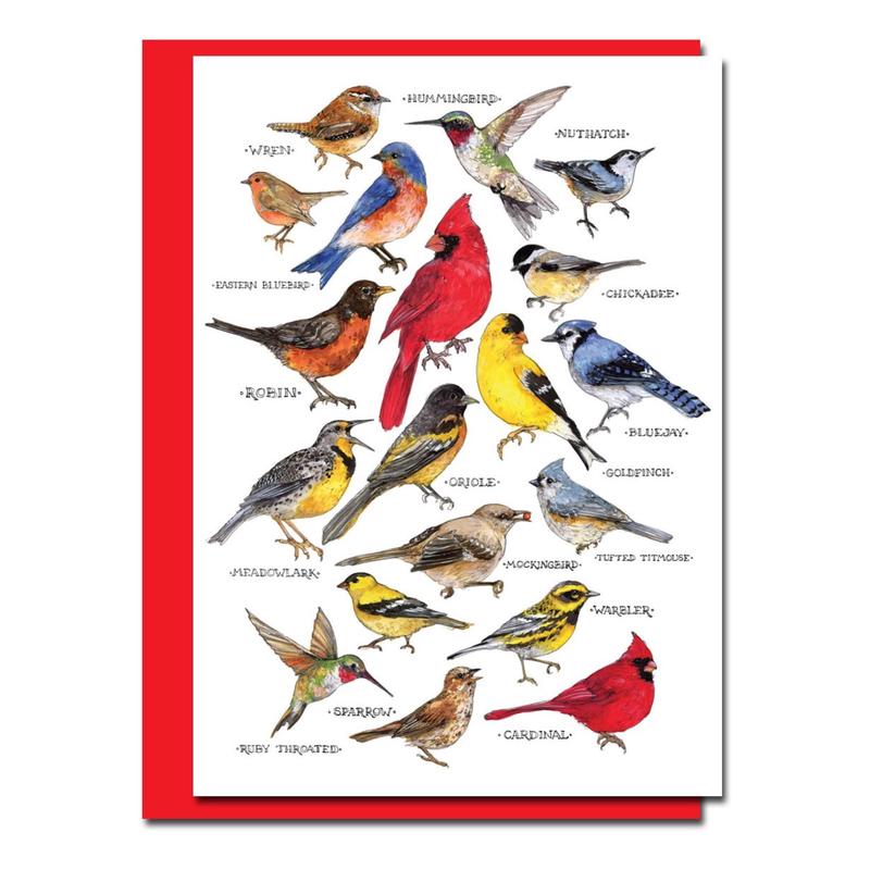 Songbirds Holiday Card