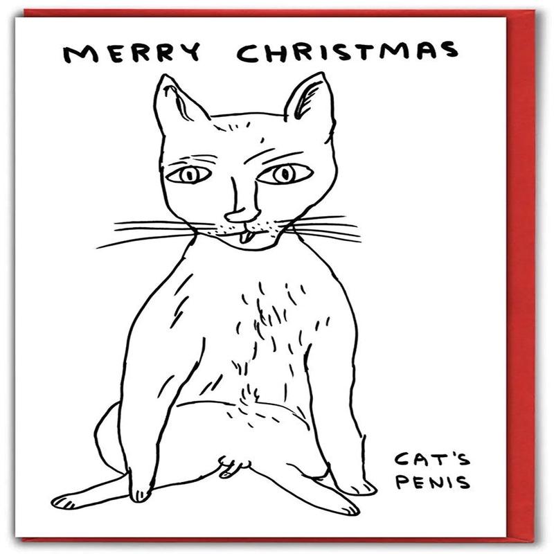 David Shrigley CatS Penis Christmas Card