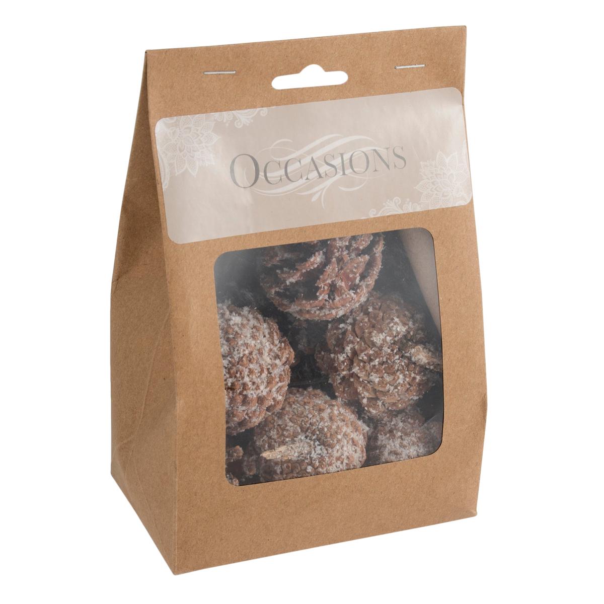 9 Frosted Pine Cones
