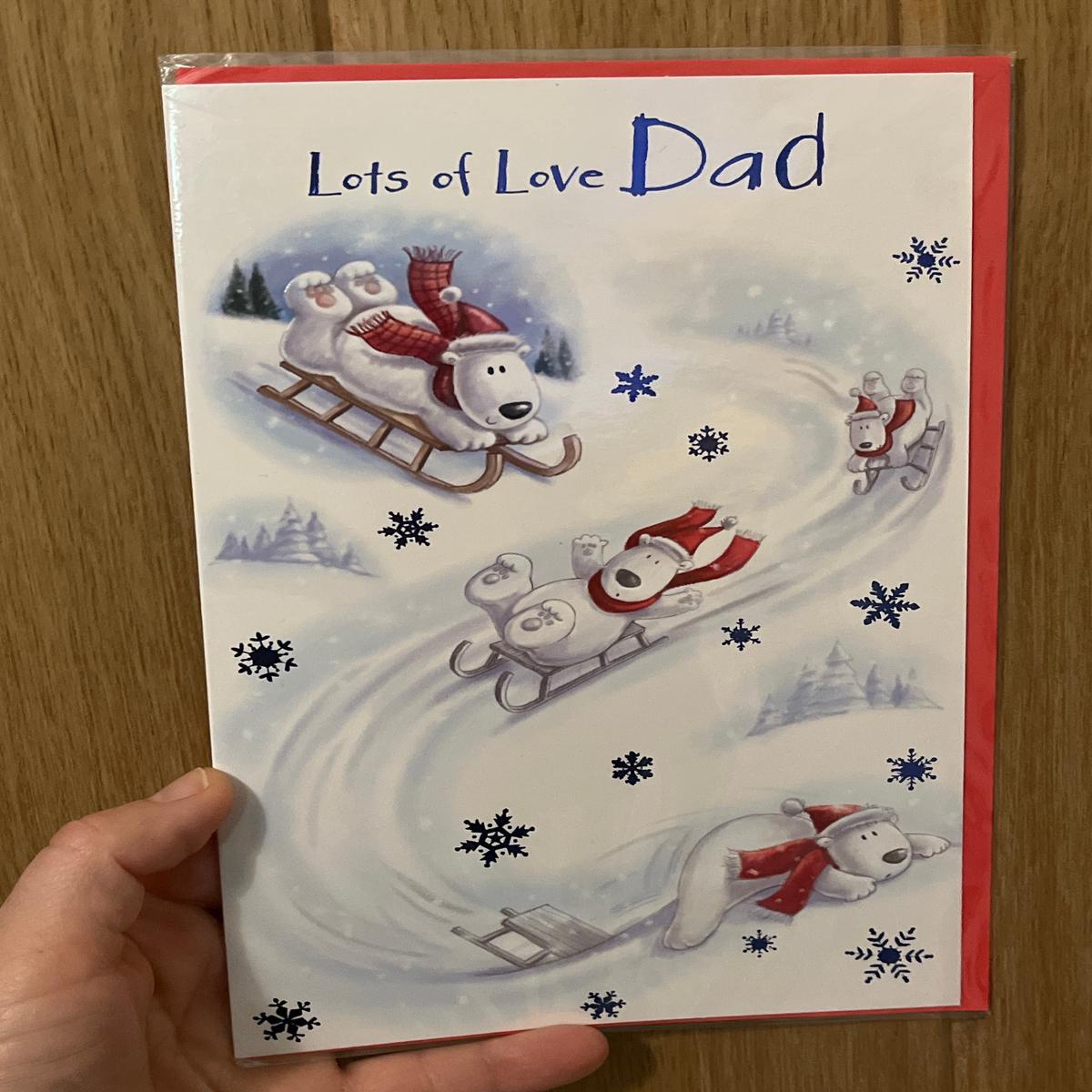 9x5 Christmas Card - Lots of Love Dad - Polarbear on Sleigh image