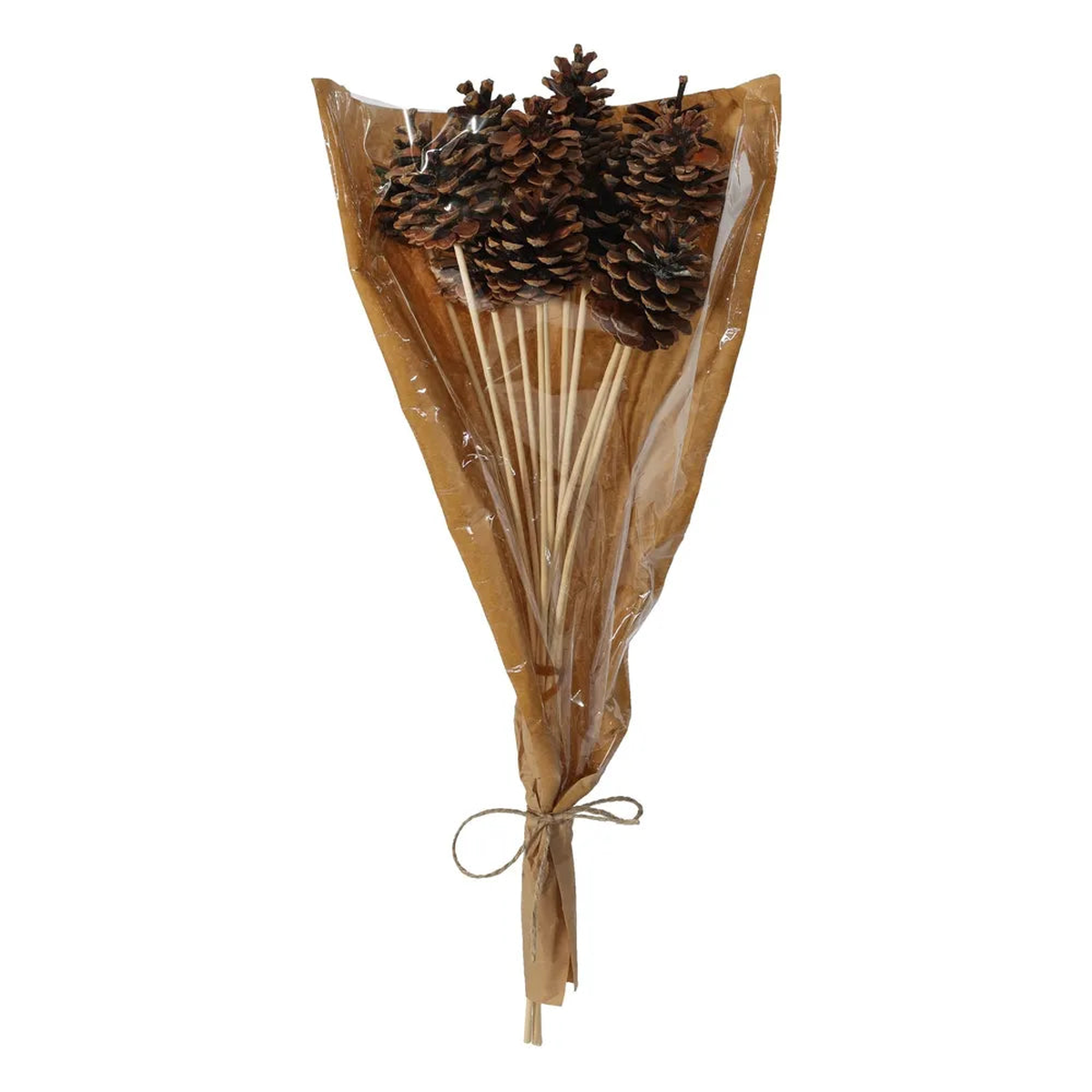 Natural Pine Cone Pick 50cm Stem -8pcs per Sleeve
