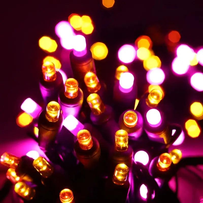 50 5mm ColorSplash Candy Pink, Orange, Gold LED Christmas Lights, 6