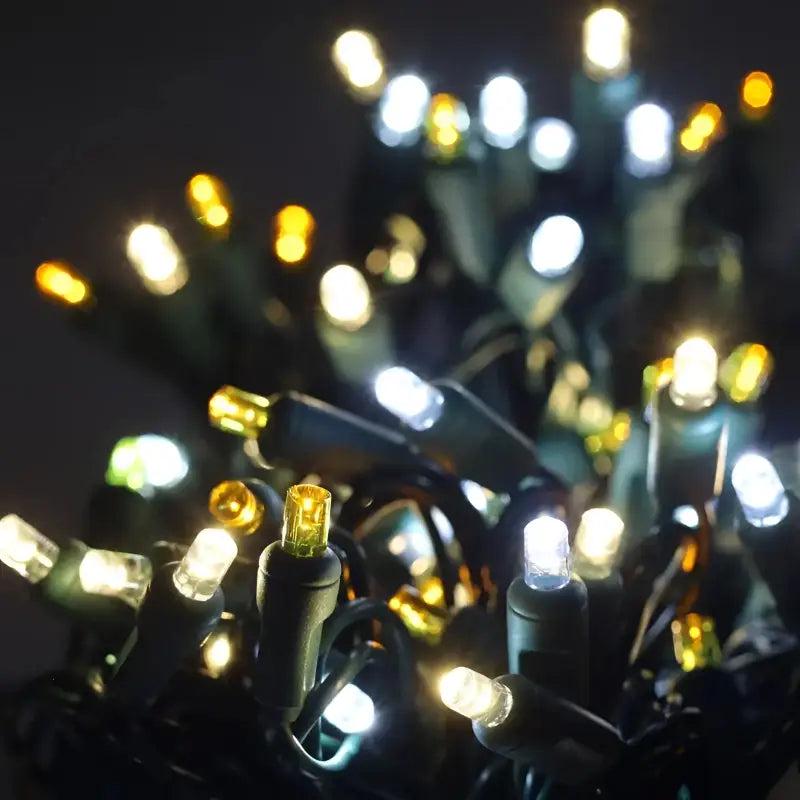 50 5mm ColorSplash Silver & Gold Warm White, Cool White, Gold LED Christmas Lights, 6