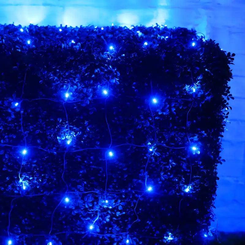 5mm 4' x 6'  Blue LED Net Lights