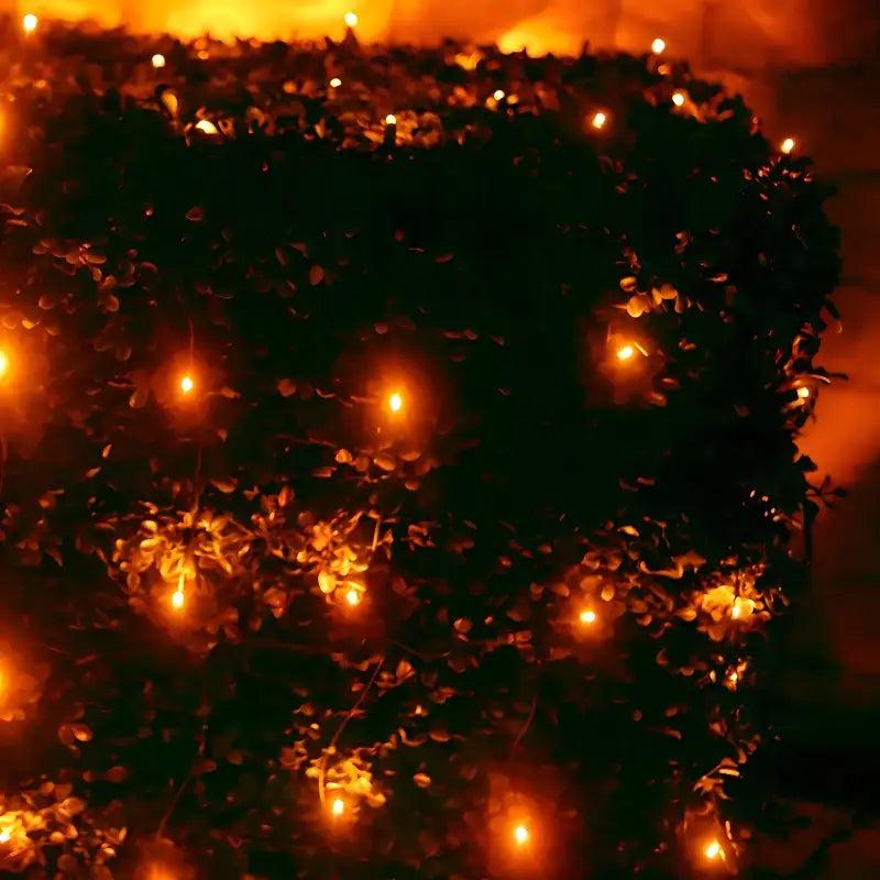 5mm 4' x 6' Orange LED Net Lights