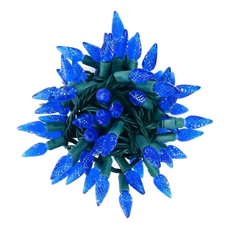 100 C6 Blue LED Christmas Lights, 4