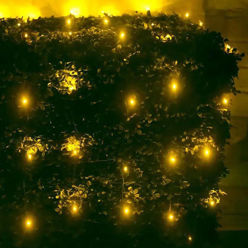 5mm 4' x 6' Gold LED Net Lights