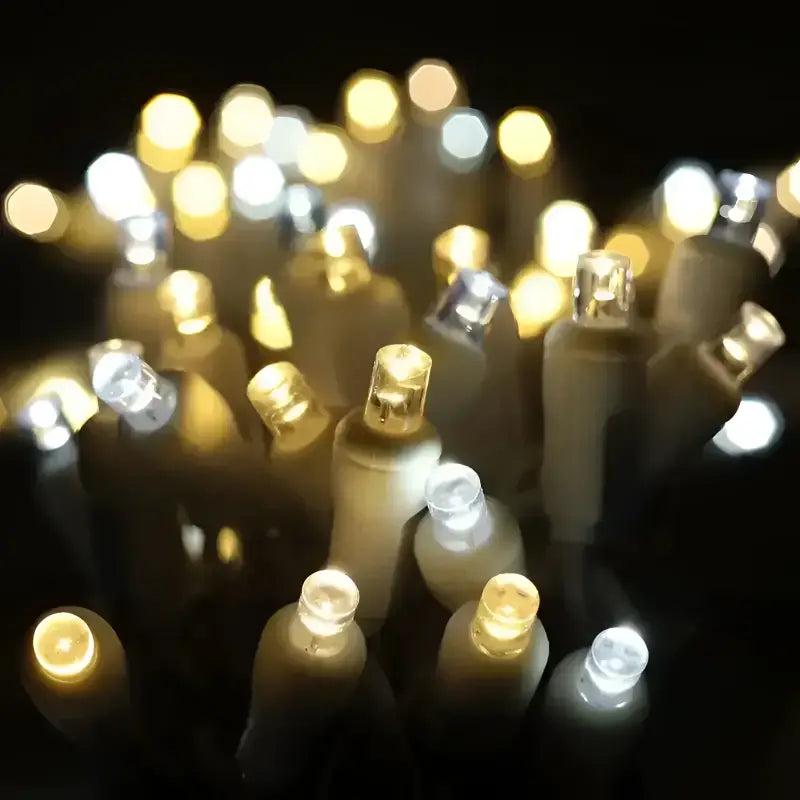 50 5mm ColorSplash Champagne Warm White, Pure White, Cool White LED Christmas Lights, 6