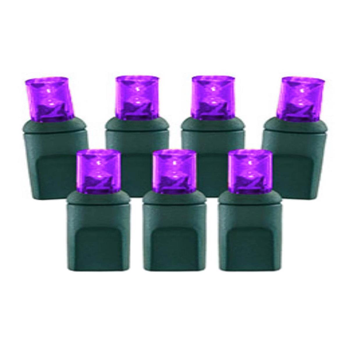 5mm Purple LED Lights  70L 4
