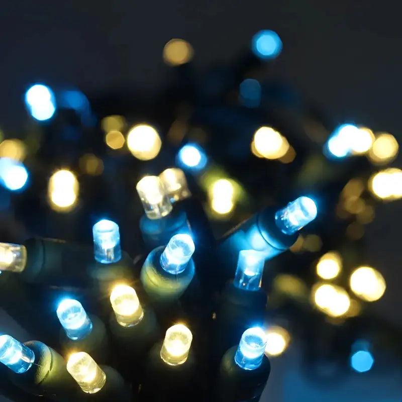 50 5mm ColorSplash Blue Taffy Warm White, Teal LED Christmas Lights, 6