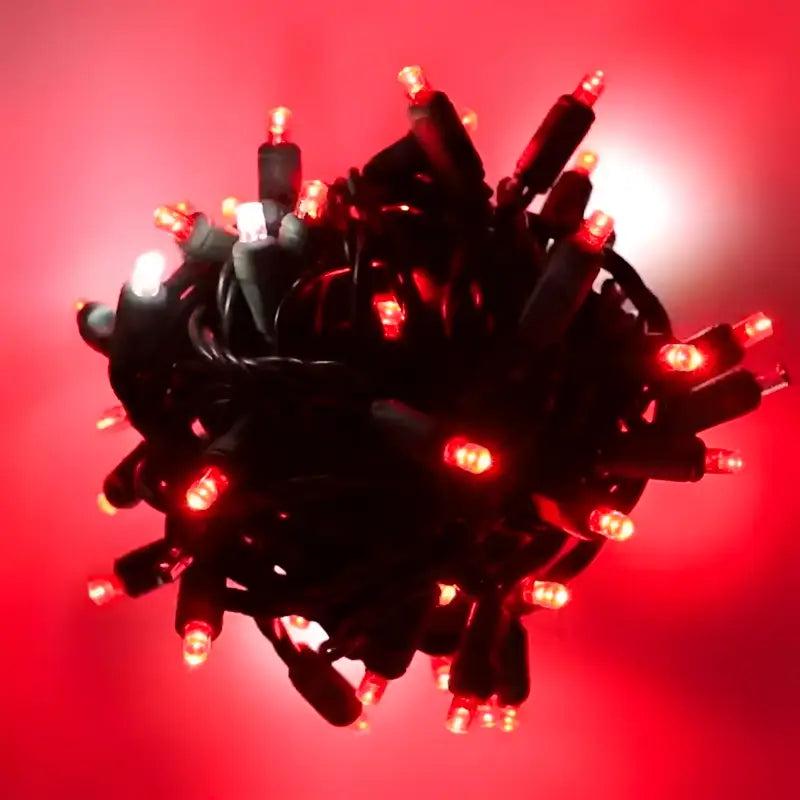 50 5mm Red, Cool White Dazzle Strobing/Static LED Strobe Lights, 6