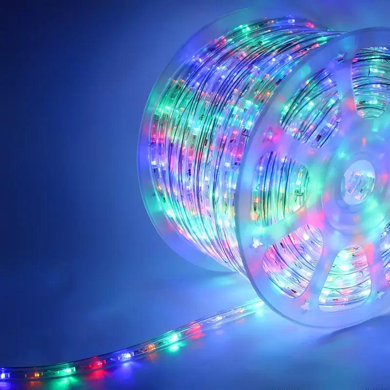 150' Multicolor Red, Blue, Green, Gold LED Rope Light, 2 Wire 1/2