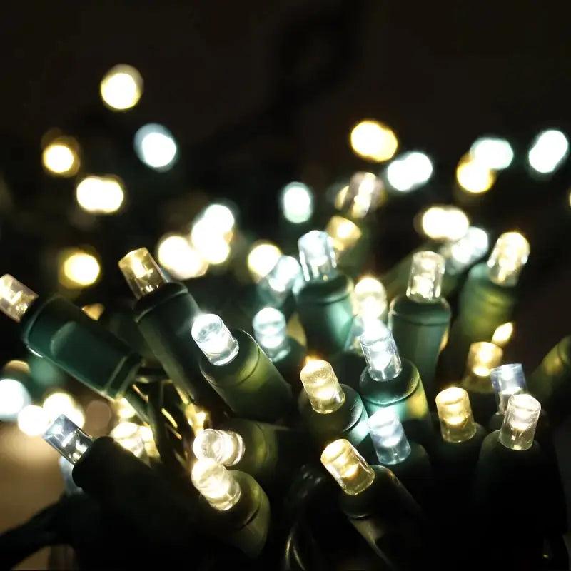 50 5mm  Champagne Warm White, Pure White, Cool White LED Christmas Lights, 6