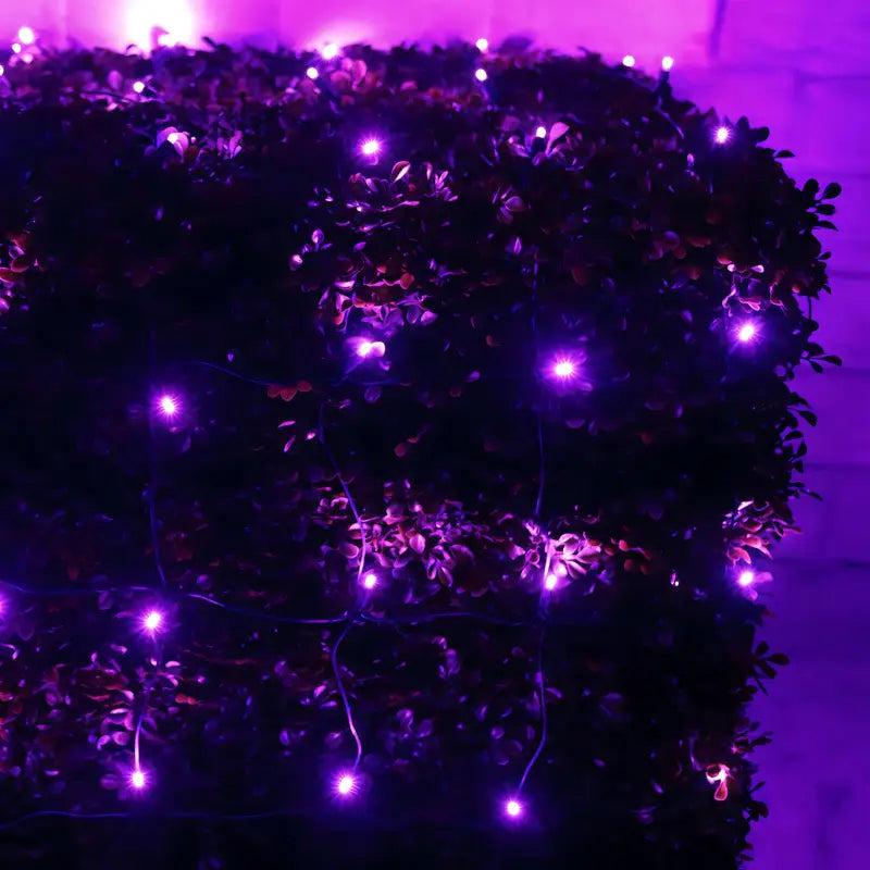 5mm 4' x 6' Purple LED Net Lights