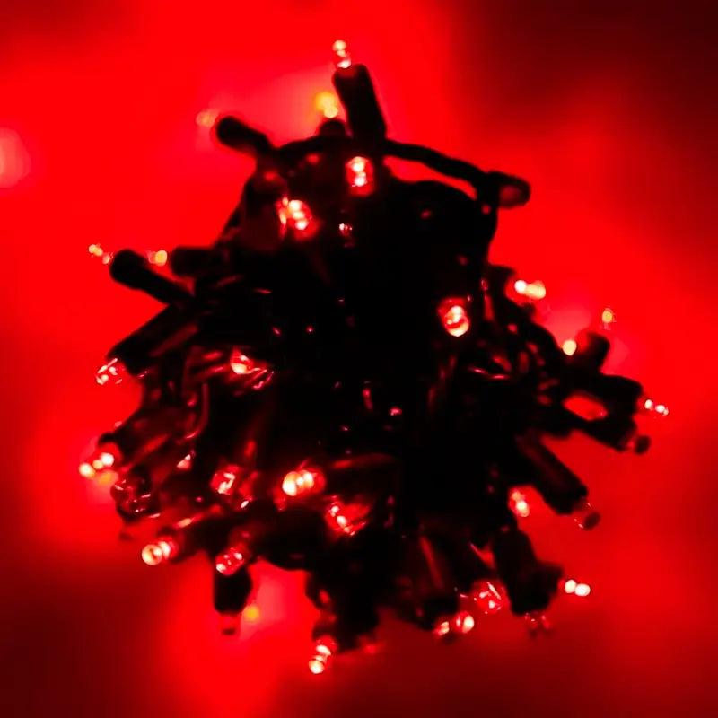 70 5mm Red DreamSpark Slow Fade LED Christmas Lights, 4