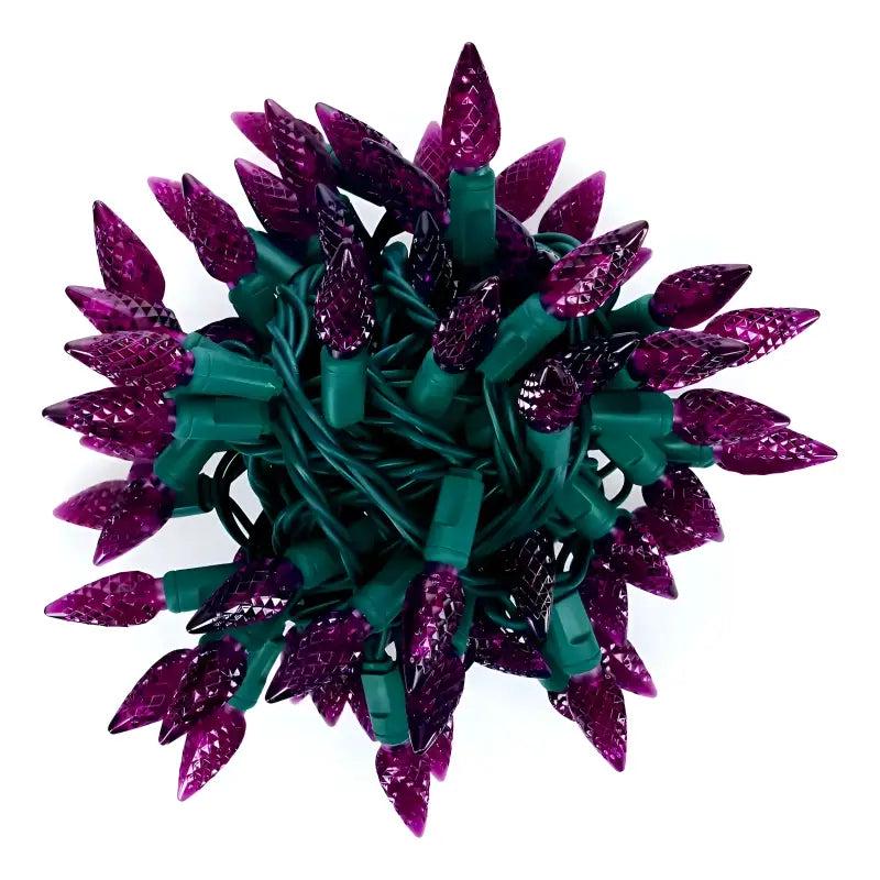50 C6 Purple LED Christmas Lights, 4